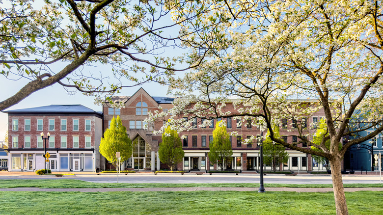 Quaint buildings and dogwood trees in Newark, Ohio