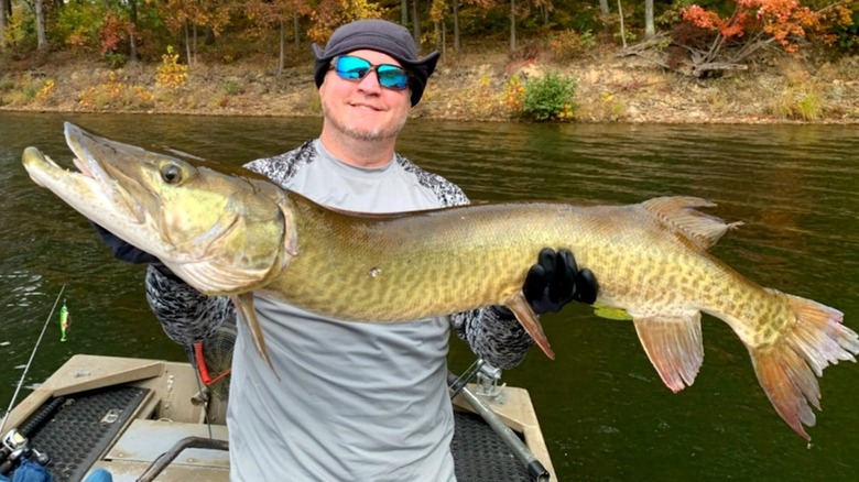 Reeling in "husky muskies" on Leesville Lake, Ohio
