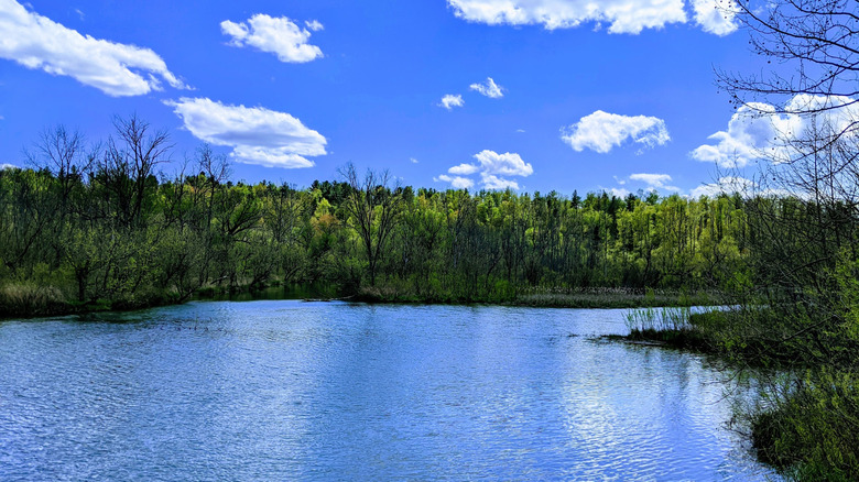 a pond surrounded by trees in Ohio's Egypt Valley Wildlife Area