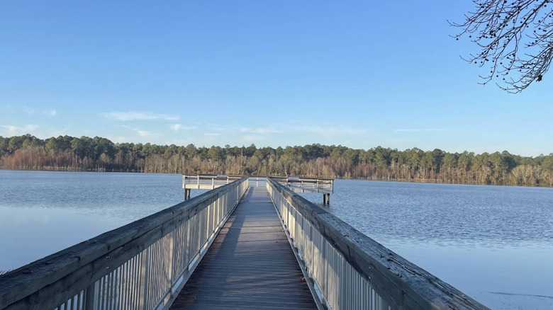 A pier on the lake surrounded by trees at Little Ocmulgee State Park.