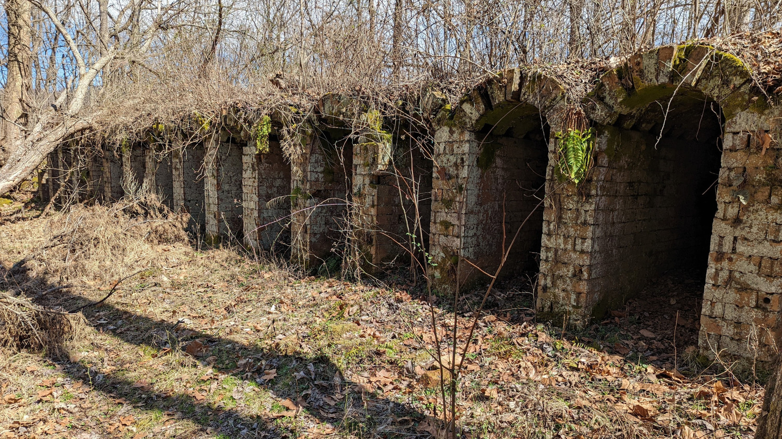 Between Columbus And The West Virginia Border Is Ohio's State Forest With Unique Wildlife, Fishing, And Birdwatching