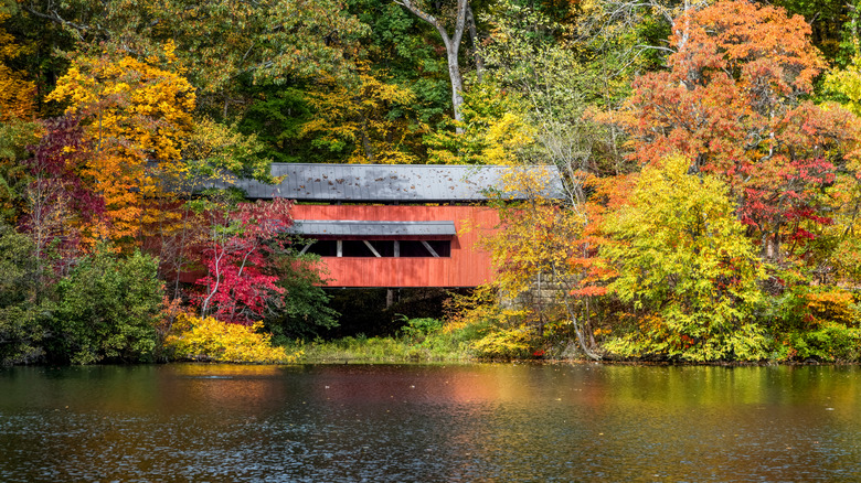 The 1800s covered bridge, colorful fall foliage, and surface of Lake Loretta at Charles Alley Memorial Park.