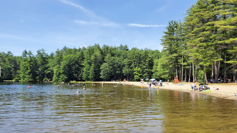 people sunbathing and swimming on a sandy beach in Pawtuckaway State Park, New Hampshire