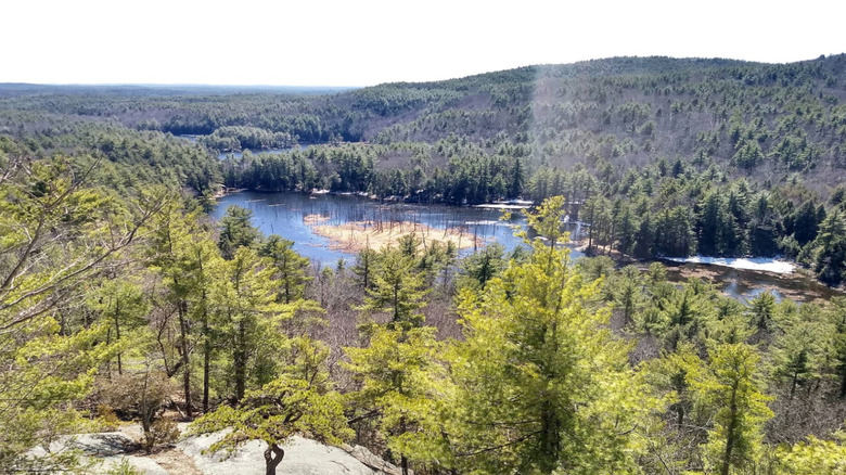 view from a trail in Pawtuckaway State Park, New Hampshire