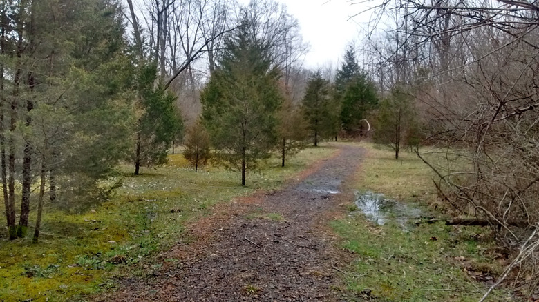 A trail through leading into the woods in Warren County Armco Park in Lebanon, Ohio