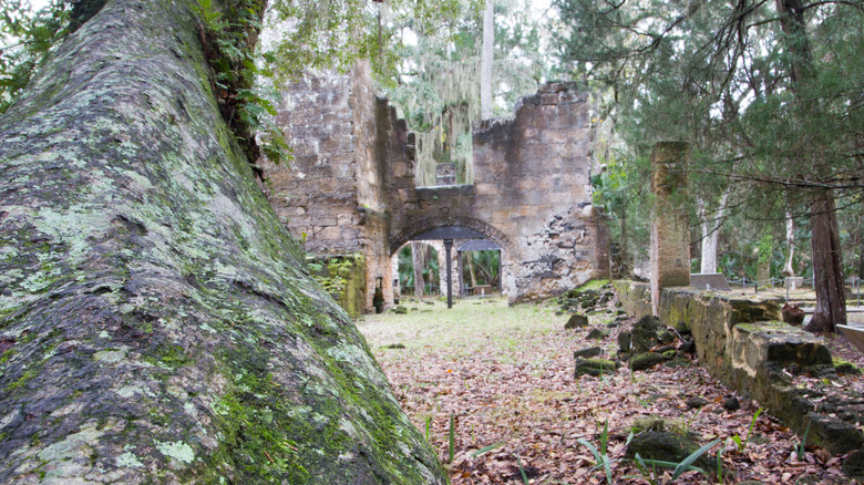 The charred walls of the old sugar mill