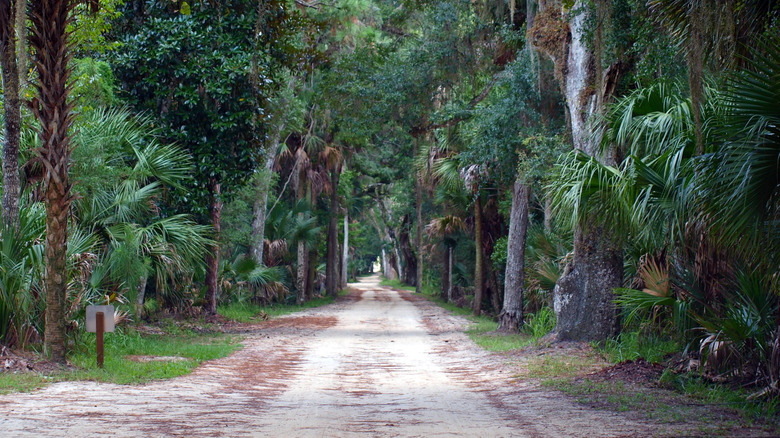 The entrance road to Bulow Plantation Ruins Historic State Park