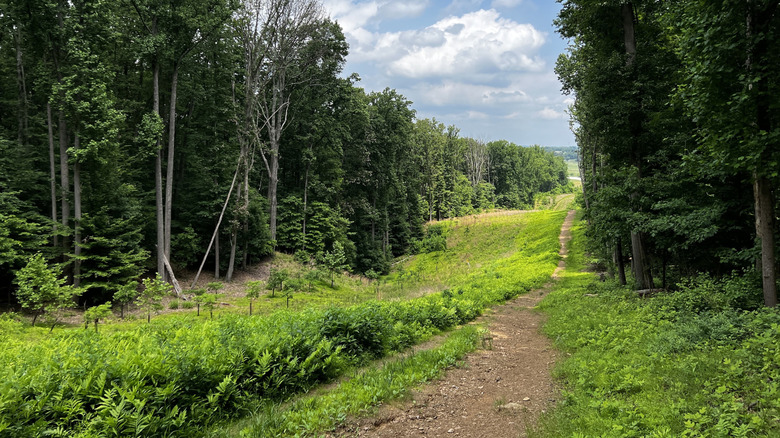 Trail along rolling hills and forest in Oregon Ridge Nature Center and Park, Maryland