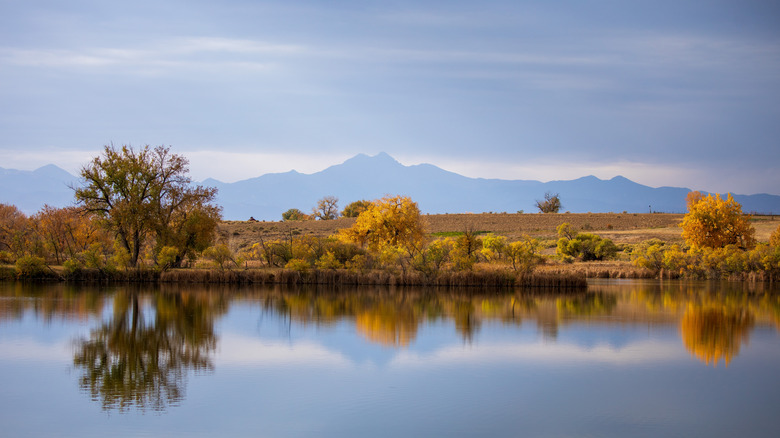Autumn leaves on trees in the background of Pelican Pond at St Vrain State Park, Colorado