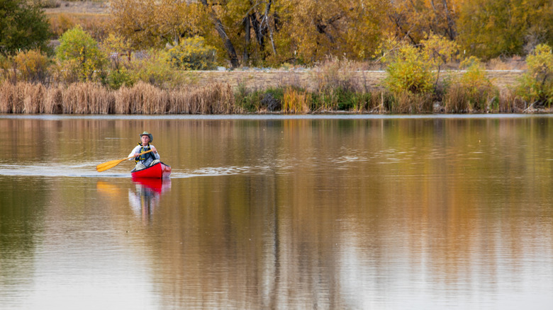 Man canoeing on Pelican Pond at St. Vrain State Park, Colorado