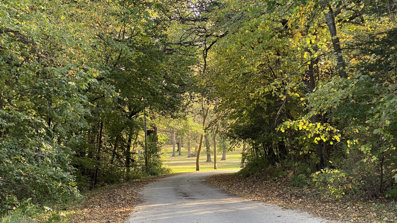 Trails through the woodlands at Joe Sheldon County Park in Humboldt, Iowa