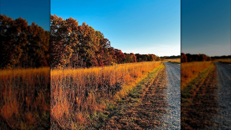 Autumn morning at Pioneer Ridge Nature Area near Ottumwa, Iowa