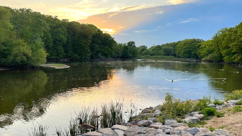 A small body of water surrounded by trees, seen from Hines Park, Westland, Michigan