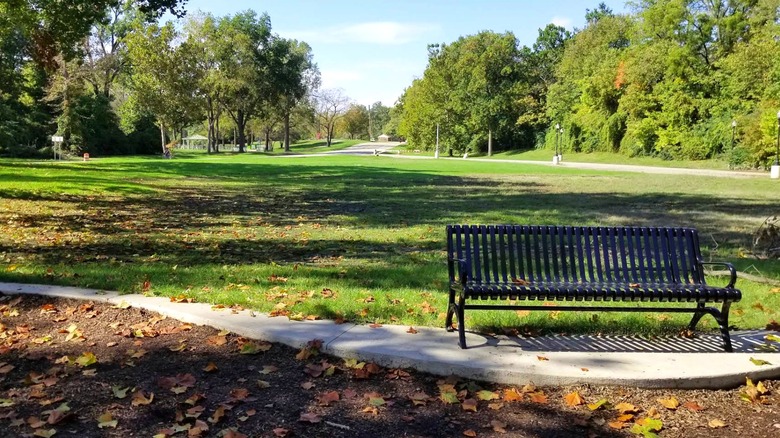 A bench and background greenery in Hines Park, Westland, Michigan