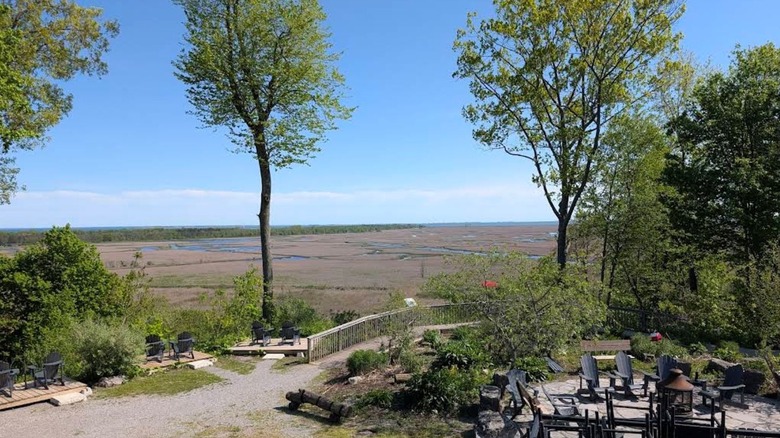 Exterior of Long Point Eco-Adventures overlooking the marsh