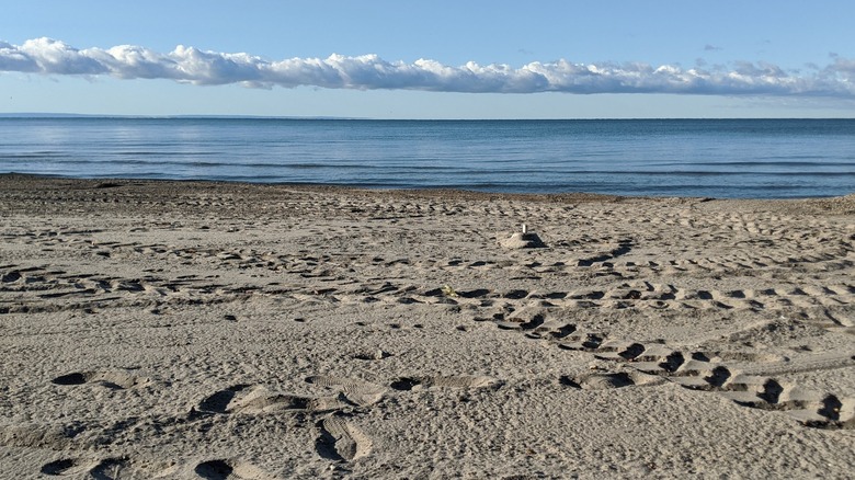 The sandy shore at Wainfleet Lake Erie Public Beach