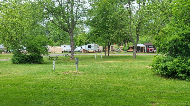 View of the campsite at Long Beach Conservation Area