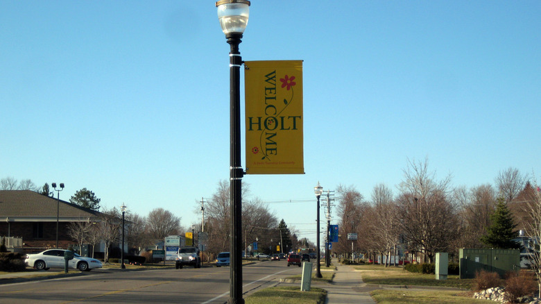 A quiet street in Holt lined by houses with the city sign on the light pole saying "Welcome to Holt"