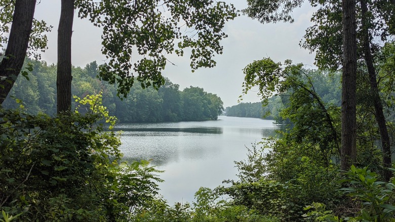 A view of the long lake form Eskers Landing at the south end of Holt, Michigan