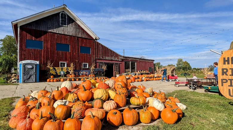 A red farm building with a pile of pumpkins in front of it.
