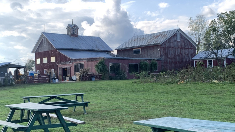 An old-fashioned red barn surrounded by green grass and picnic tables