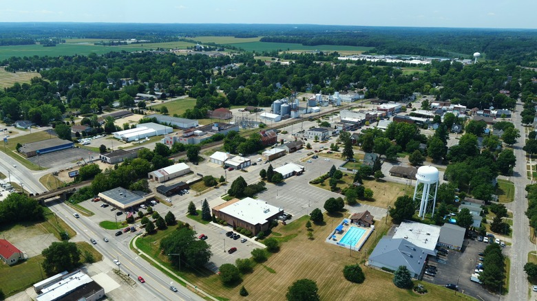 Imlay City with a few tree-lined streets, buildings, parking lots, and fields in the distance