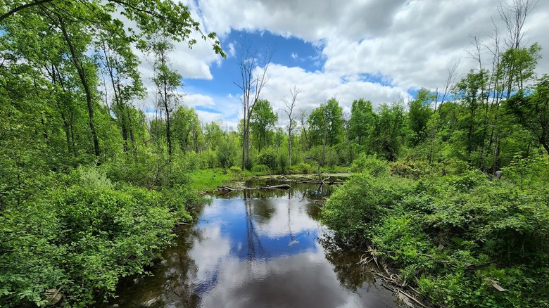 View of the Cass River from Sanilac Petroglyphs Historic State Park in Cass City, Michigan