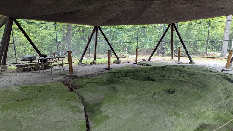View of the Sanilac Petroglyphs under an enclosure