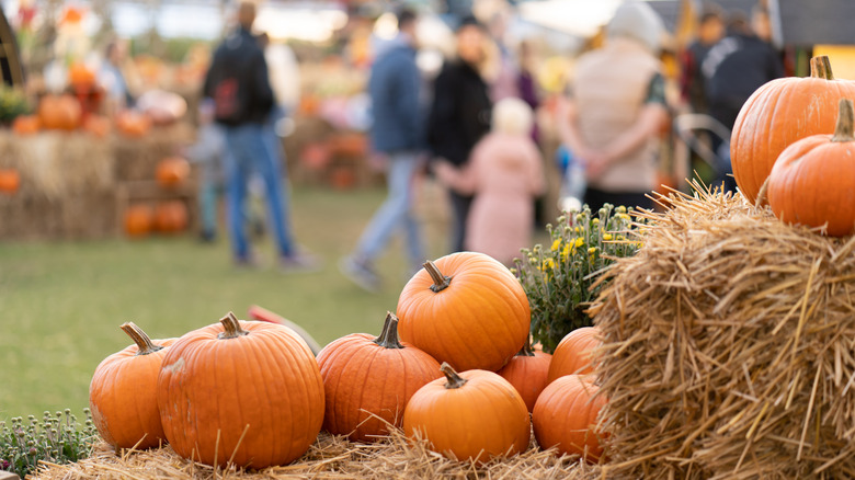 Pumpkins stacked on straw bales