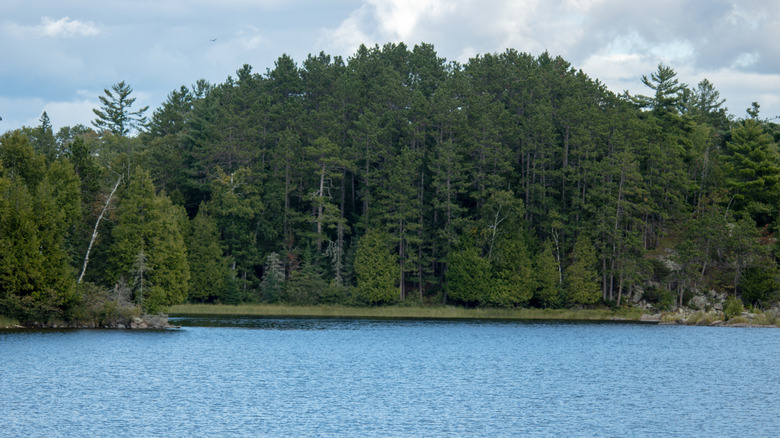 A view over the lake at Taylors Beach Campground