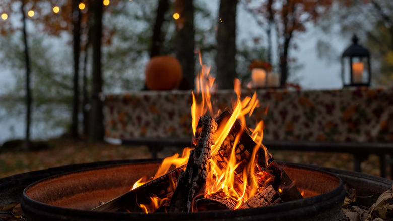 A campfire by the lake in autumn