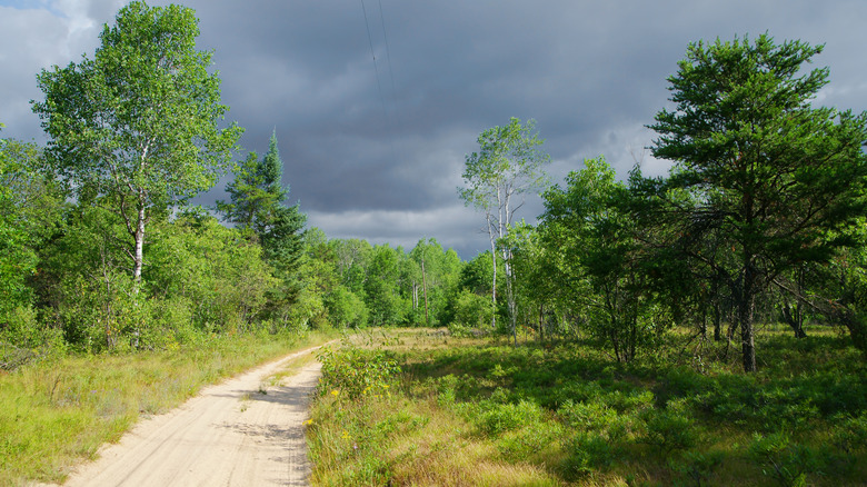 Dirt trails for hiking and biking around Lewiston, Michigan