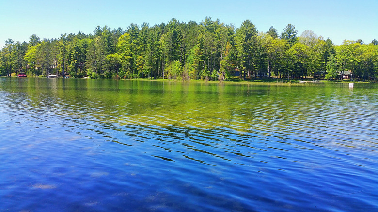 Lake and forest around Little Wolf Lake State Campground in Lewiston, Michigan