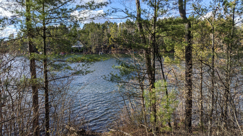 Lake and forest around Little Wolf Lake State Campground in Lewiston, Michigan