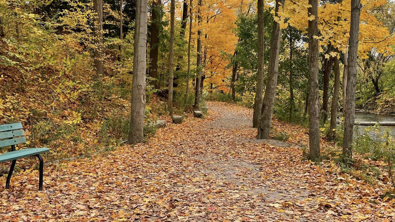 Carroll Loop Trail in Tillsonburg, Ontario