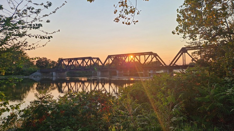 View of river and railroad bridge from a trail running along the River Raisin in Monroe, MI