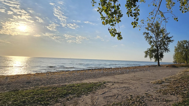 Lake Erie sandy beach at Sterling State Park, Michigan