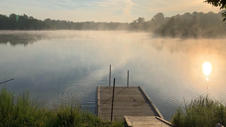 Body of water at Lorne C. Henderson Conservation Area in Petrolia, Ontario