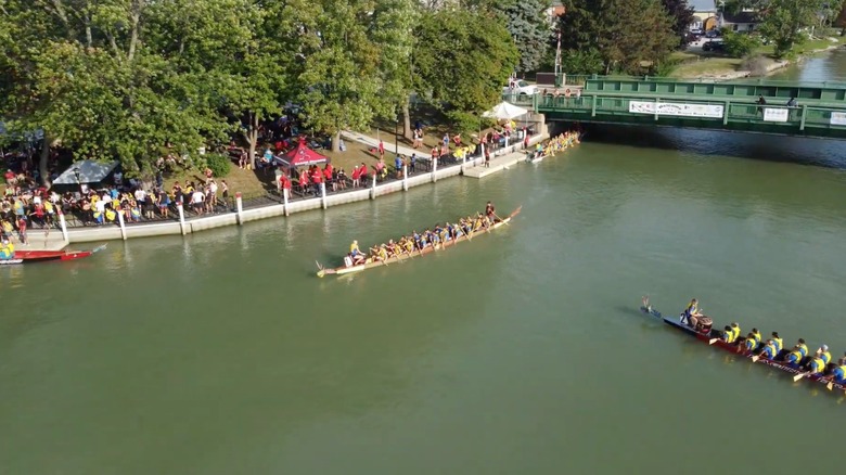 The Sydenham Challenge Dragon Boat Festival in full swing, with boats racing to win on the Sydenham River in Wallaceburg, Ontario