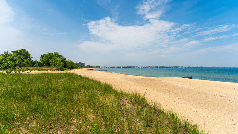 Sunny day at Canatara Beach