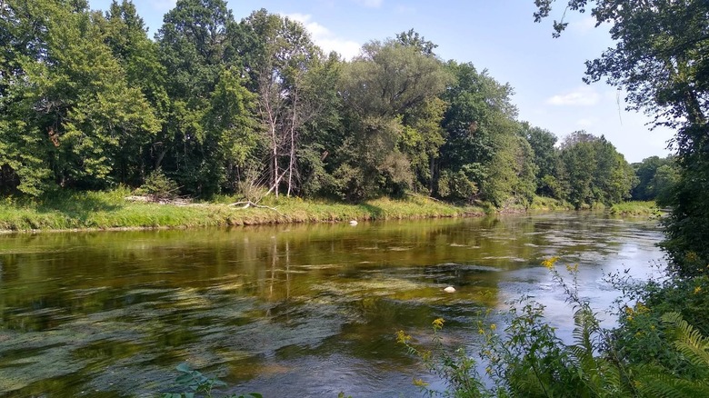 Chippewa River at Chippewa Nature Center.
