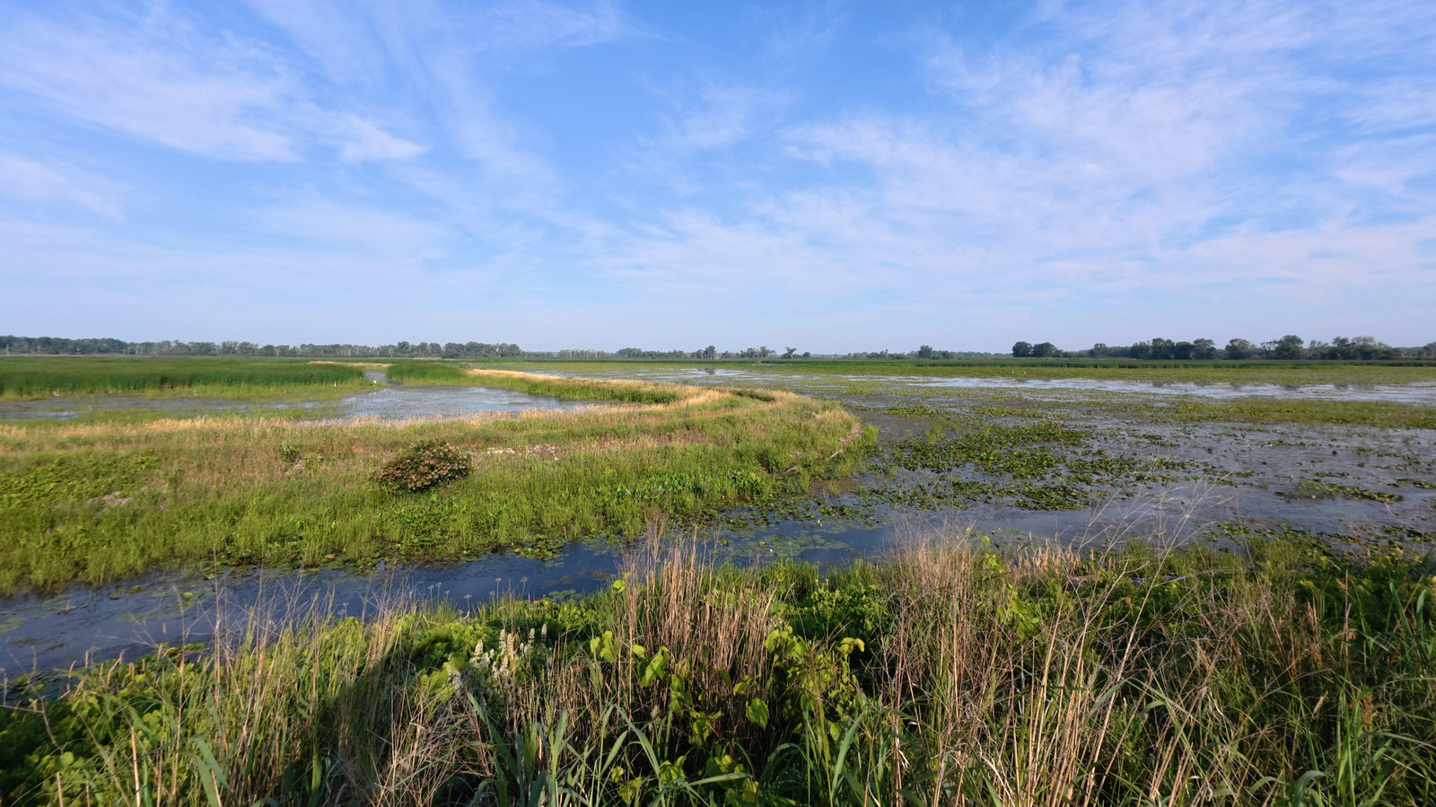Between Detroit And Traverse City Is A Scenic Wildlife Refuge With Wetland Trails, Fishing, And Boating
