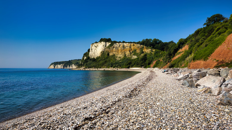 Seaton Beach's pebbled shore, calm blue water, and distant white cliffs with green foliage
