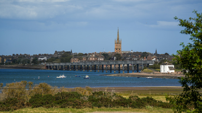 Montrose church spire silhouetting against blue sky with port in the foreground.