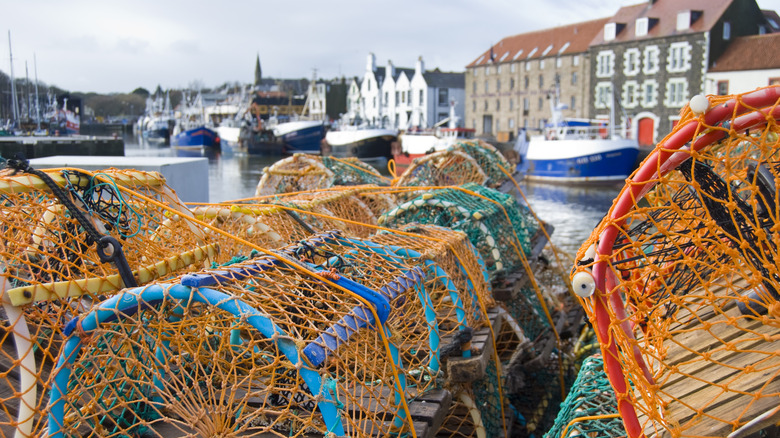 Fishing trawlers and traps anchored to Eyemouth harbor