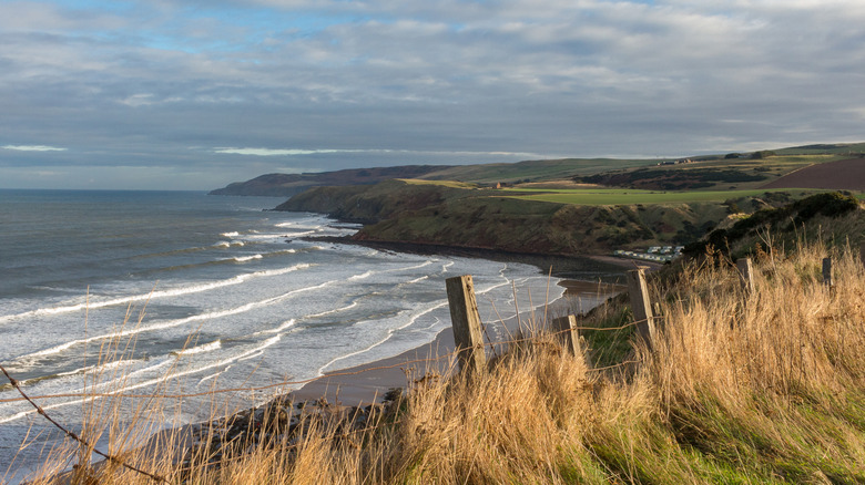 Clifftop view over the sea at Pease Bay in Scotland