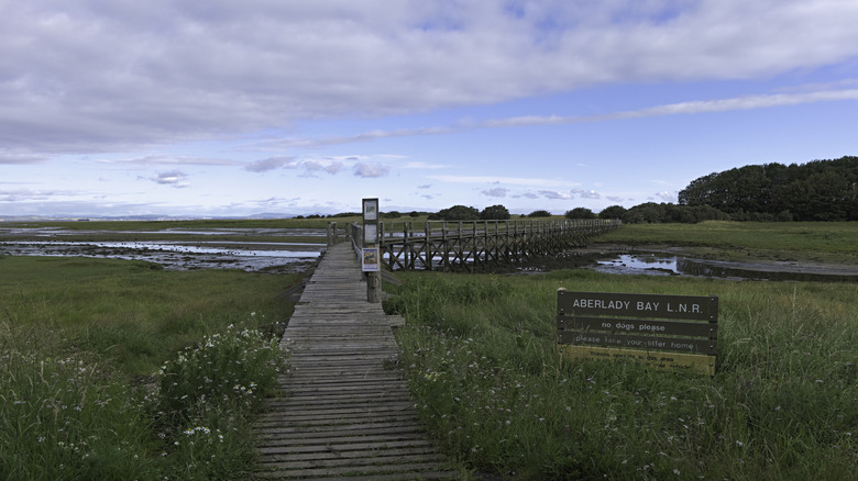 The wooden footbridge leading across the marshes in Aberlady Bay Local Nature Reserve
