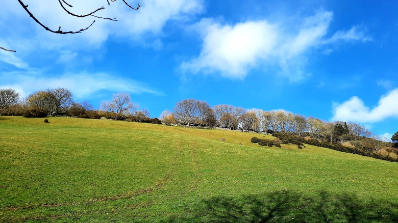 The green hills of Ladhope Recreation Grounds
