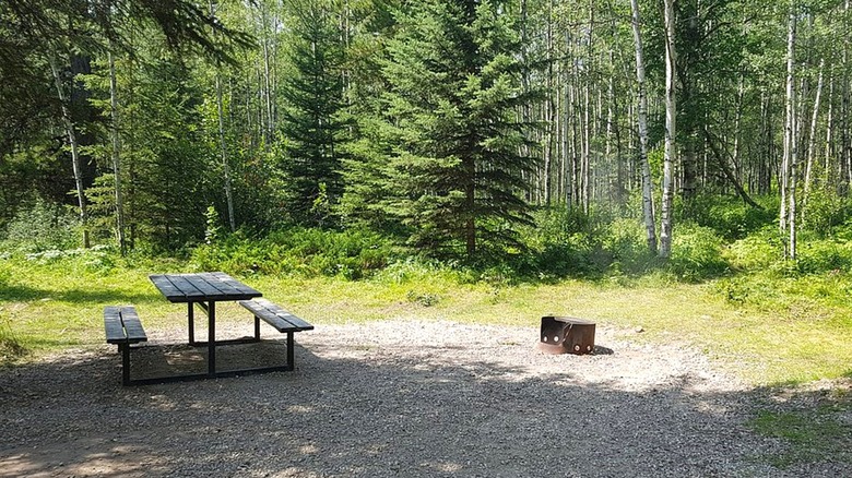 A gravel campsite surrounded by trees with a picnic table and a fire pit in Crimson Lakes Provincial Park, Alberta