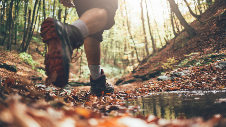 Close-up of hiker's boots with forest and autumn leaves in background